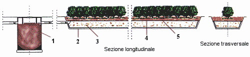 brevetto.gif (6794 byte)