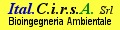 cirsab.gif (1742 byte)