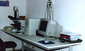 lab5.jpg (7576 byte)